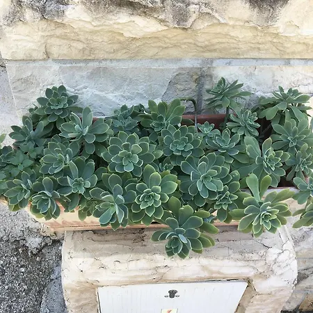 Ivan Dolac 15784d Jelsa (Hvar)